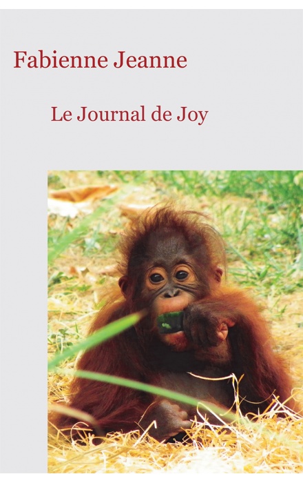 Le Journal de Joy